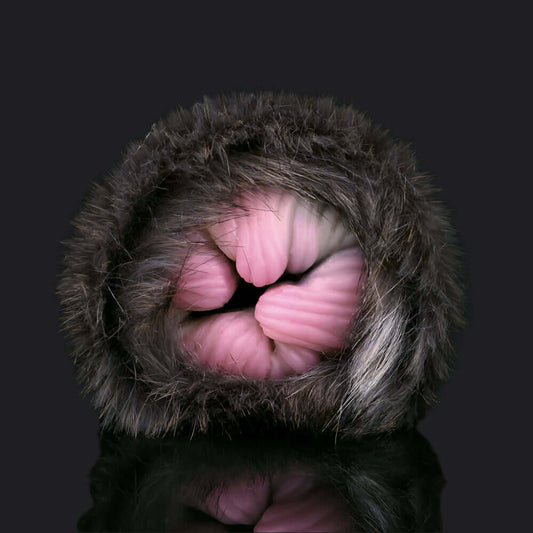 Dragon Dildo™ | Whispering Prowler Penetrable